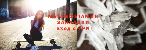 прущие грибы Михайловск