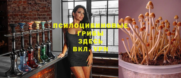 apvp Наволоки