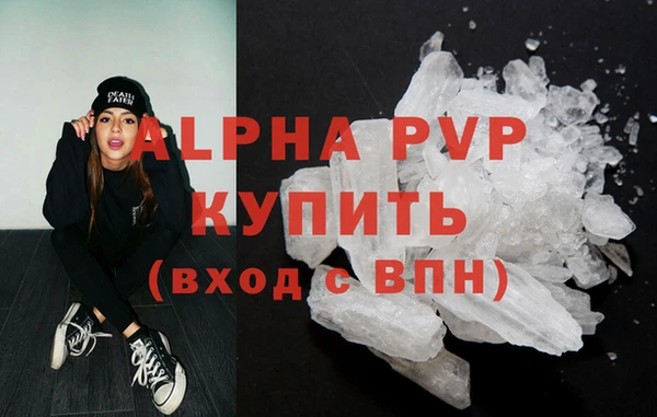 прущие грибы Михайловск
